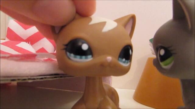☼Littlest Pet Shop: Summer Camp (Episode 1: "Good Luck")☼