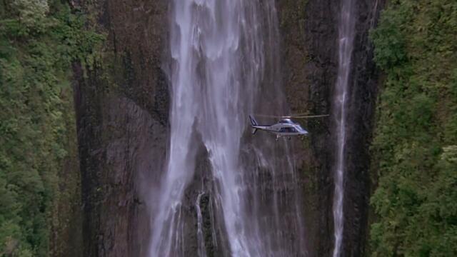 A Tribute to the Jurassic Park and Jurassic World Movies