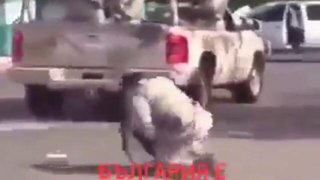 Ако България воюва...