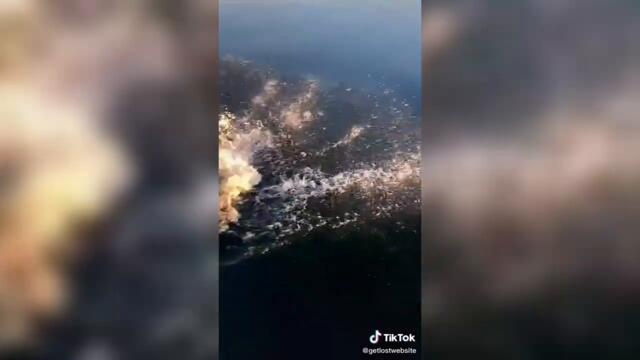 8 Mins Of Great Tik Toks