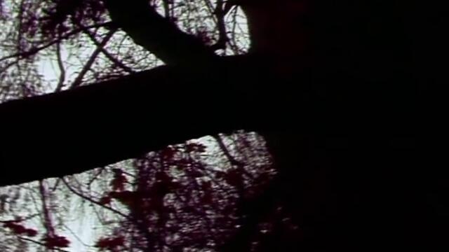 The Cure - A Forest (Official Video)