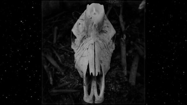 Worsen - Cursed to Witness Life (Full Album)