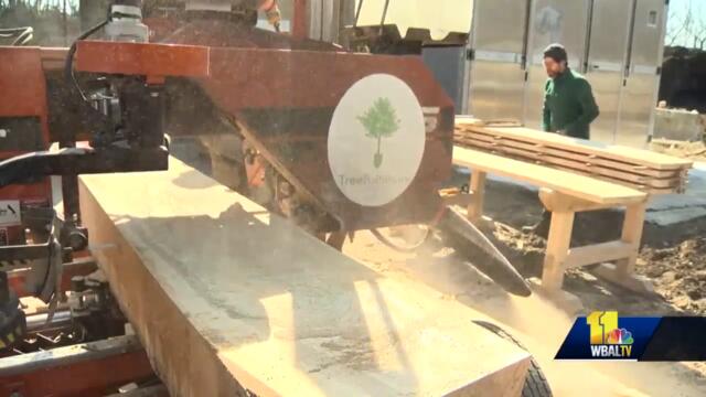 Baltimore lumber yard encourages wood recycling