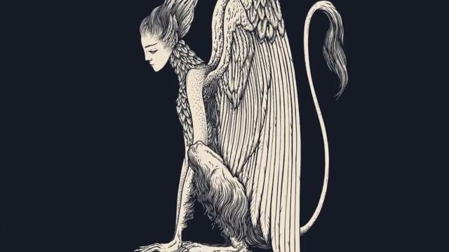 Les jardins de minuit