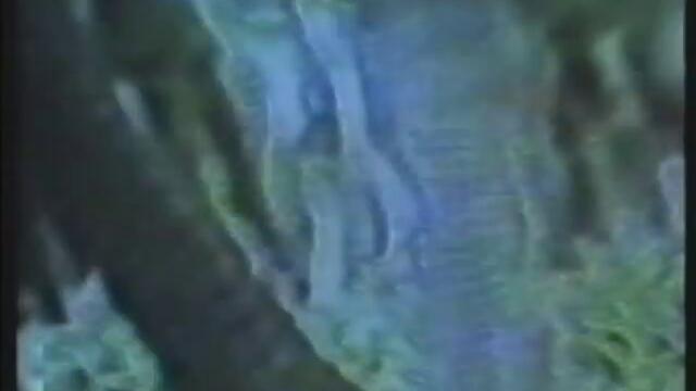 Disharmonic Orchestra - Groove