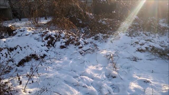 Найкращі Українські Пісні  / ДИВЛЮСЬ Я НА НЕБО