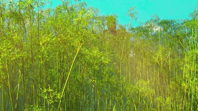 Великото пътешествие The Big Trip   (2019) Бг Аудио Част 1