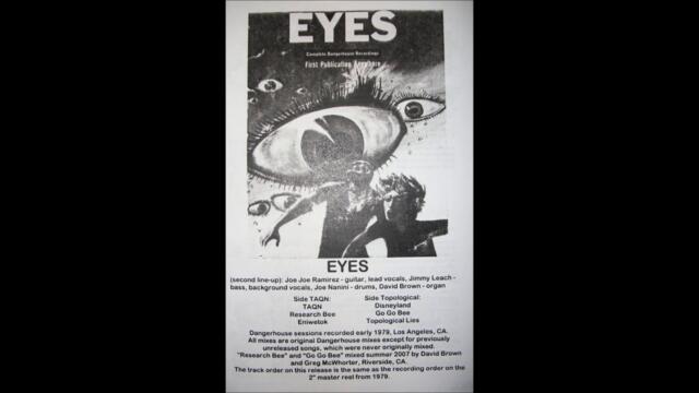 The Eyes - Disneyland