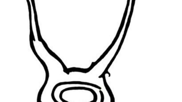 Daniel Johnston - True Love Will Find You In The End