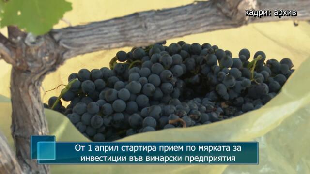От 1-ви април стартира прием по мярката за инвестиции във винарски предприятия