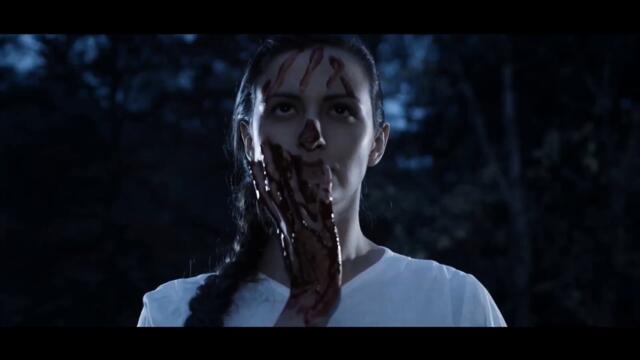 Voivodes - The Balkan Gentlemen Of Fortune Войводите на Балканите -трейлър