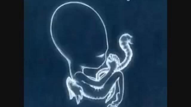 Sigur Ros   Svefn g englar  Postrock from Iceland