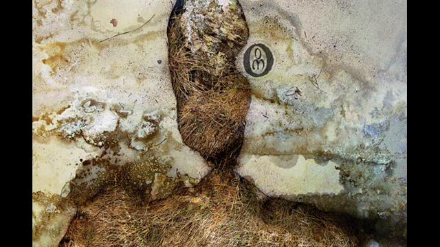 Negură Bunget - Dedesuptul