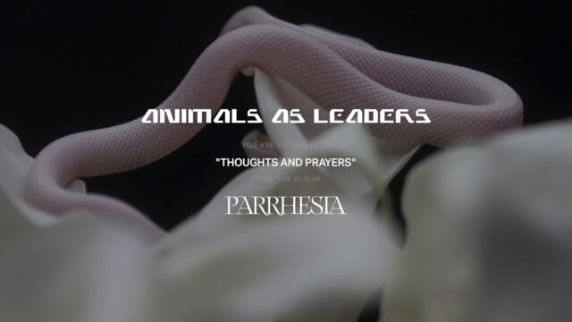 ANIMALS AS LEADERS - Thoughts and Prayers