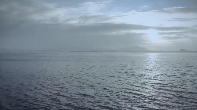 The Beautified Project feat. Antimatter - Black Wooden Nest (PREMIERE)