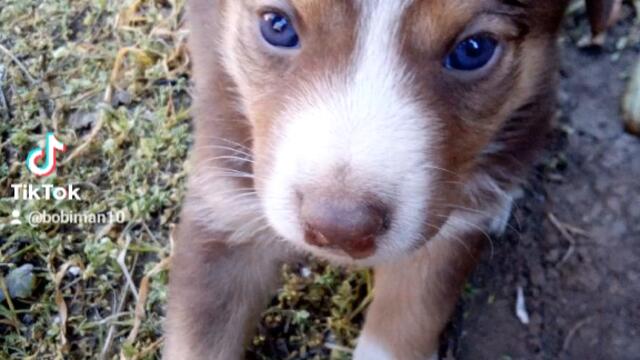 818d4b87280498b8349e213a6e066d7f