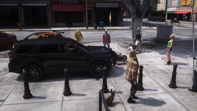 Wrangler, The Dog Mangler - LSBN Raw Video