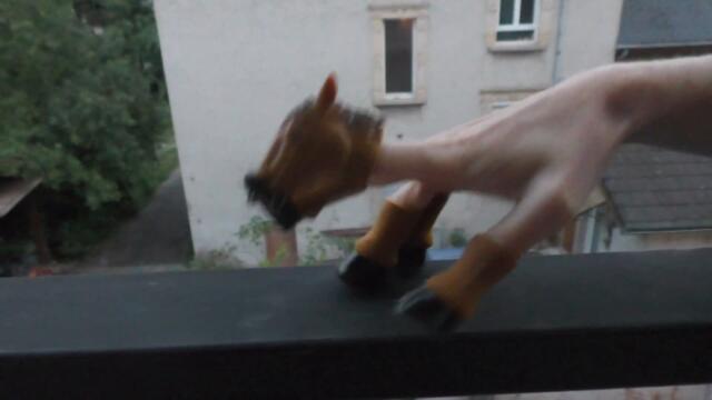 L'incroyable aventure du cheval