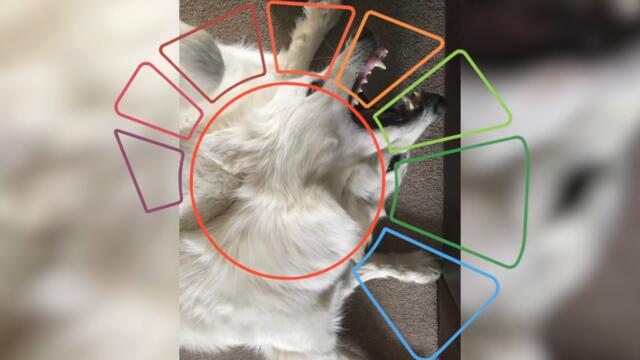 Фото, которые тебя удивят (70 часть)