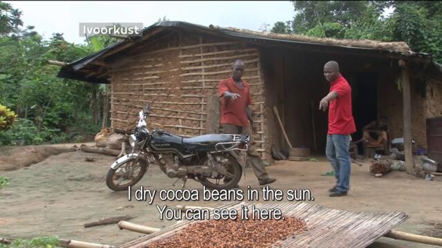 First taste of chocolate in Ivory Coast | VPRO Metropolis