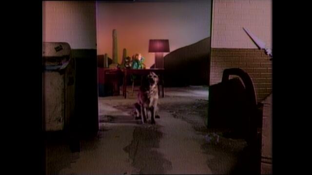 Nu Shooz - I Can't Wait (Official Music Video)