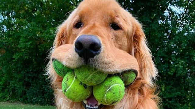 В это слишком сложно поверить!