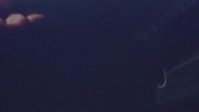 Andrew Price - Supposed to Be in Joshua Tree [Official Music Video]