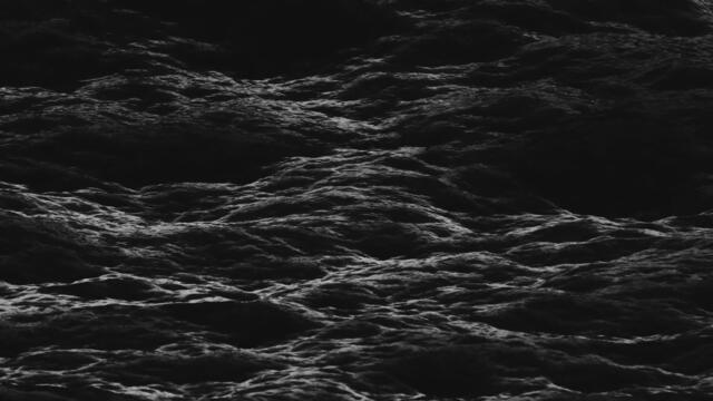 Pierre Stemmett - Shark {Official Music Video}