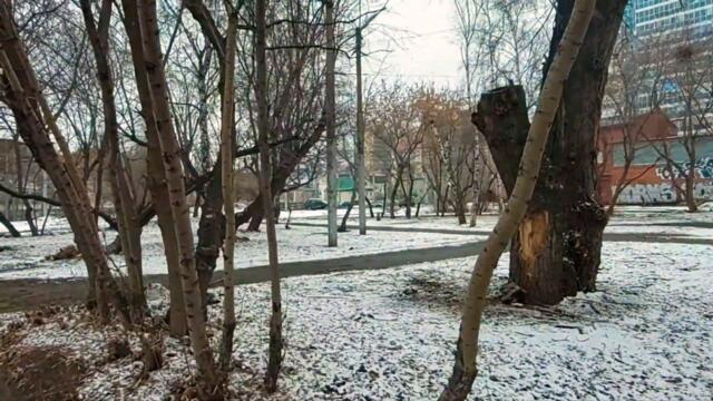 🚩Апрель 2022 В поисках лекарства Полнолуние