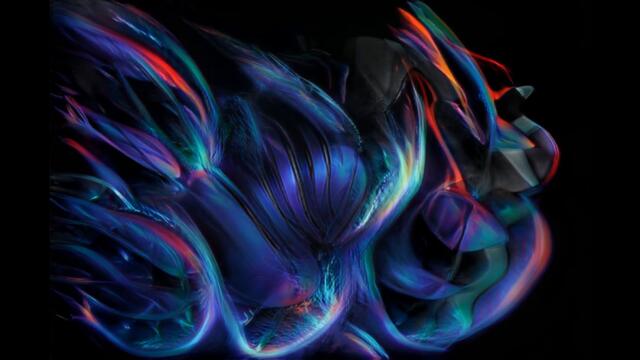 Reid Willis - The Ocean Won't Allow (Official video by Xander Steenbrugge)