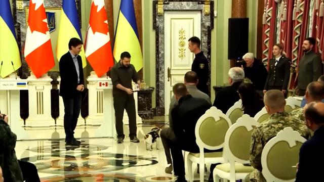 Patron, Ukraine’s Bomb-Sniffing Dog, Awarded for His Heroism