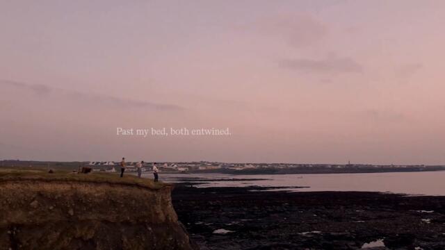 Kingfisher - flowers-fire (Official Lyric Video)