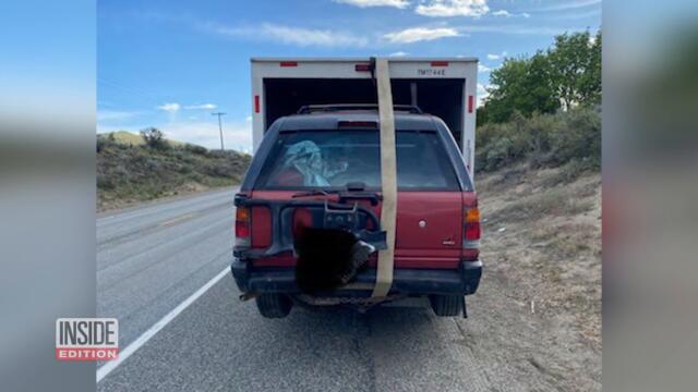 Man Caught With SUV Inside U-Haul Truck