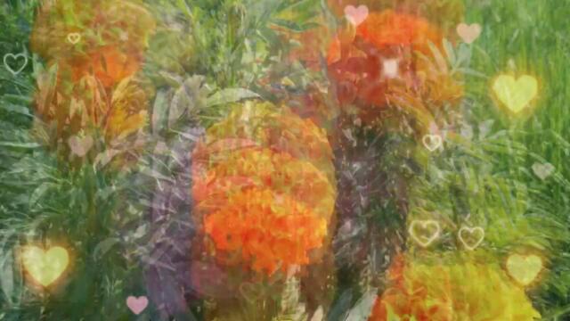 Доброе Утречко Хорошего Дня! Мира и добра☀️Красивое пожелание с добрым утром!