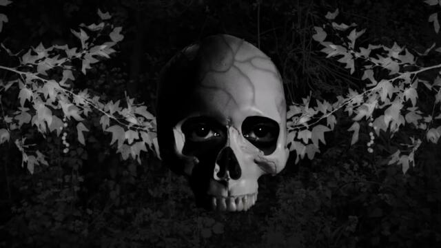 Osees - Funeral Solution (Official Video)