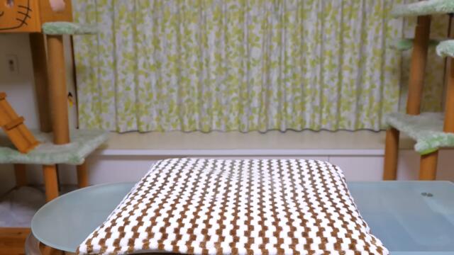 ファーミネーターで長毛種の大型猫が夏バージョンに変貌を遂げる瞬間が最高に気持ち良い！【ボス吉 FURminator】