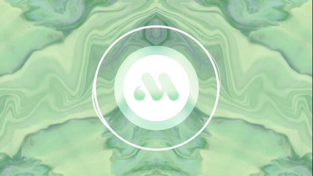 Prince Ray - Make It Alive | "I’m not perfect but at least I try"