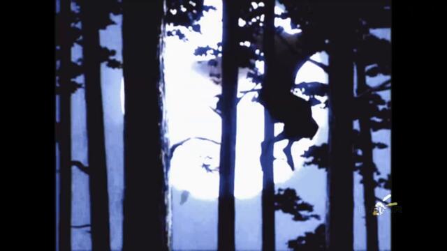 Xassa, BODIEV - Грехи (Премьера Клипа)  + ТЕКСТ