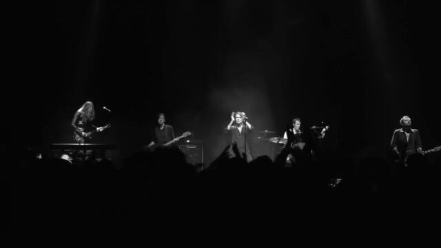 Suede - 'She Still Leads Me On' (Live Streamed from Cirque Royal, Brussels)