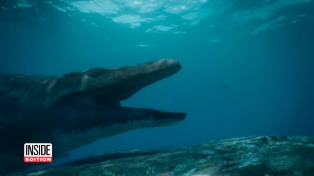 What Did Planet Earth Look Like 66 Million Years Ago?