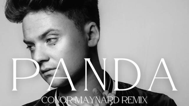 Panda by Desiigner & Conor Maynard (Remix)