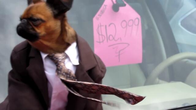 Brus Griffin's Motor World