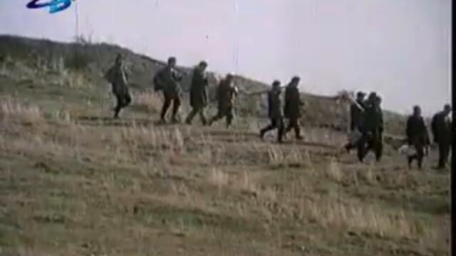 Преброяване на дивите зайци (Трейлър)