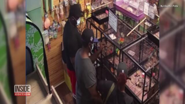 Pet Store Staff Wants Help Finding Exotic Birds That Were Stolen