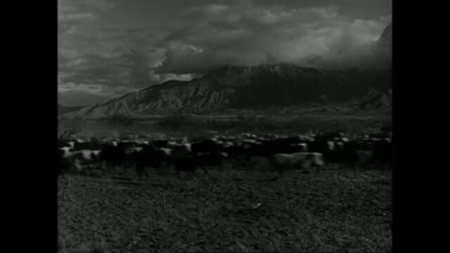 RED RIVER (1948) Starring John Wayne | Official Trailer | MGM