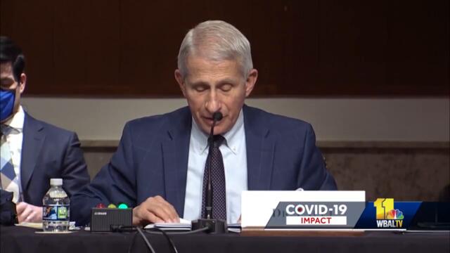 Doctor talks Paxlovid, chances for rebound COVID-19 infections