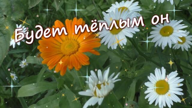 Доброе утро!Хорошего дня😊😉😊Красивое видео-поздравление💐