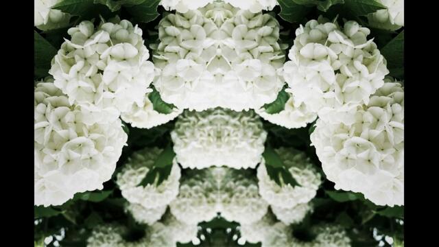 Full Album 👉 Remix 👈 : Acrania - ( Band ) " Totalitarian Dystopia " Album / Heavy Metal Music 🎵 2022