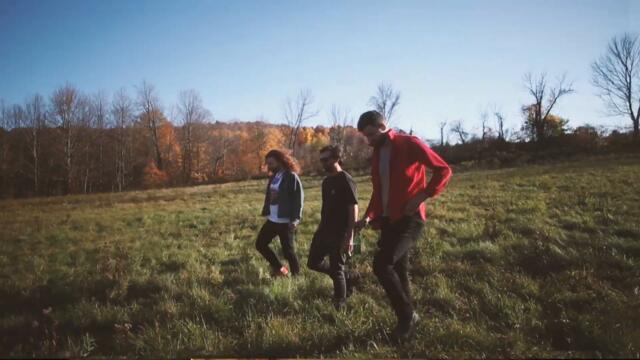 Young Bugs — Hard Times