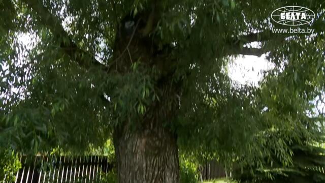 ⚡⚡В гостях у Лукашенко! // Рецепт фирменного салата от Президента